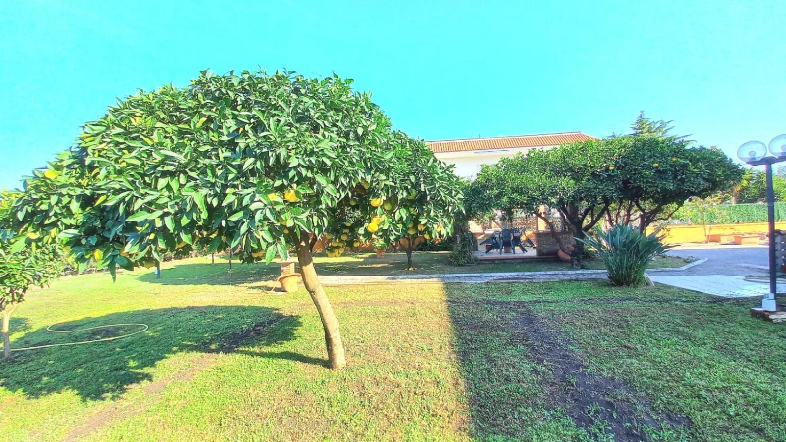 Da Ninnilla Holiday Home Scafati Luaran gambar